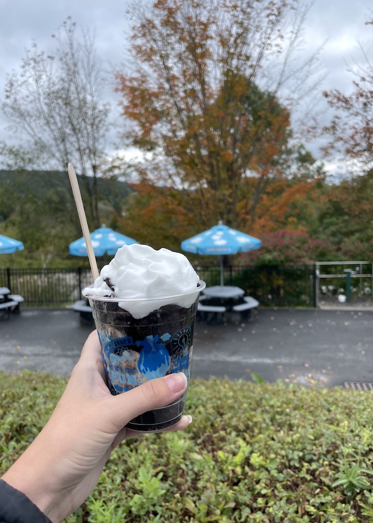 Woman holding vegan sundae with orange trees and colorful picnic benches under umbrellas in background on cloudy fall day. Ben & Jerry's Waterbury Factory Tour, Waterbury, near Stowe, Vermont.