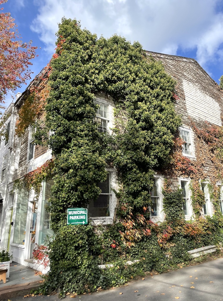 Shingled building covered completely in lush ivy turning orange and red during fall on sunny day. Main Street, Sag Harbor, New York, The Hamptons.