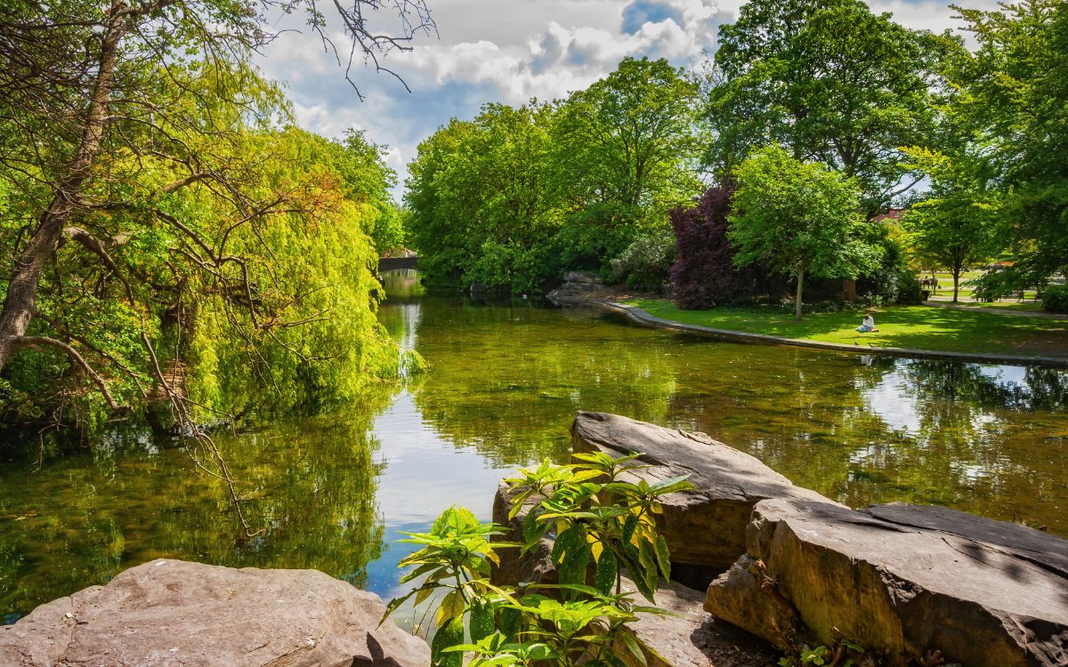 Calm pond surrounded by lush green trees on sunny summer day. St. Stephen's Green, Dublin, Ireland.